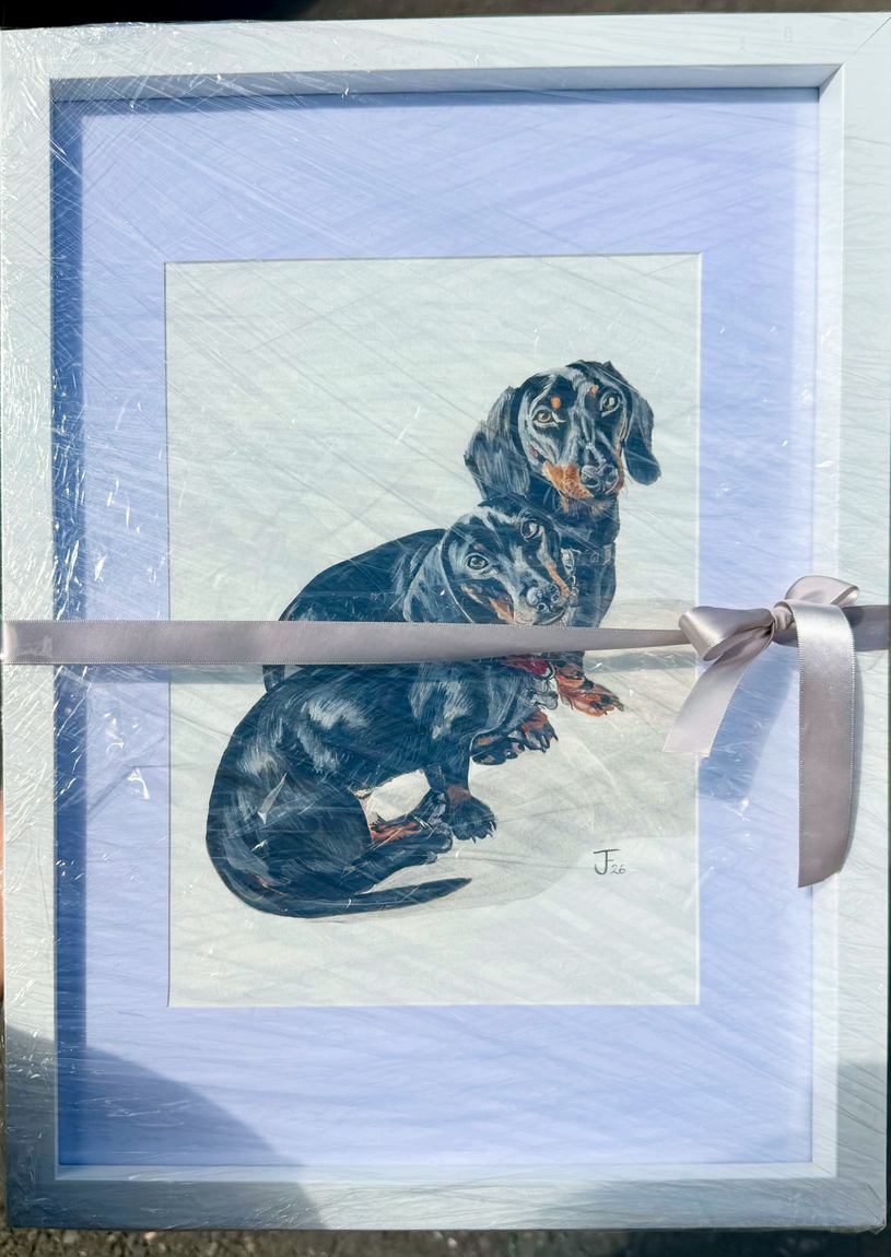 A framed dachshund portrait wrapped in clear film and tied with a silver ribbon, ready to be given